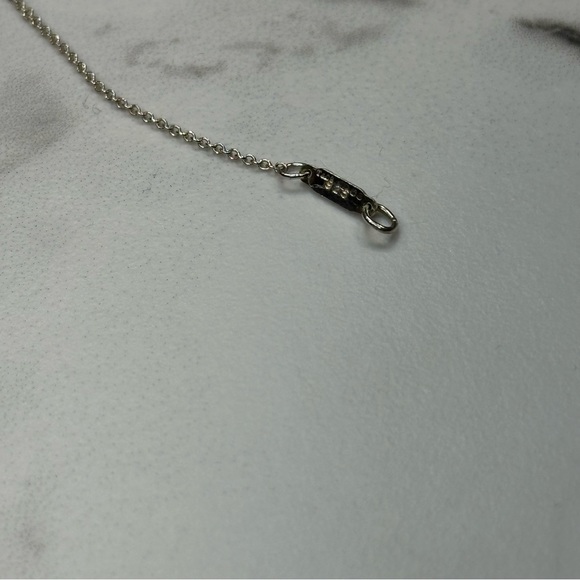 Tiffany & Co x Paloma Picasso Capricorn Necklace Pendant Combo - Picture 7 of 13